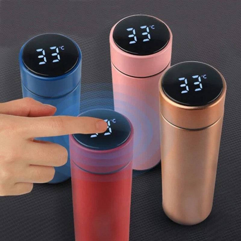 Temperature Display Water Bottle