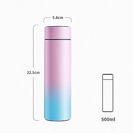 Temperature Display Water Bottle