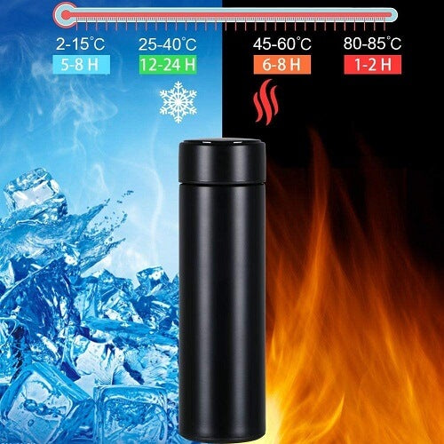 Temperature Display Water Bottle